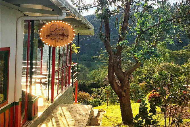 Immersive Coffee Farm Experience at Finca El Ocaso from Salento - Price and value: does $93 make sense for a 3-hour tour?
