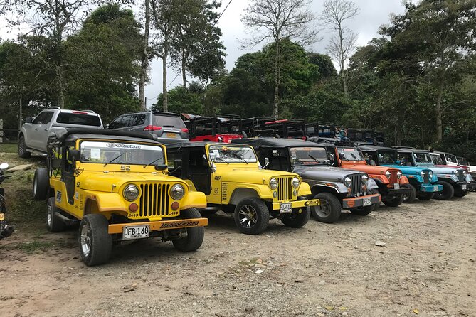 Immersive Coffee Farm Experience at Finca El Ocaso from Salento - The decision: should you book Finca El Ocaso from Salento?