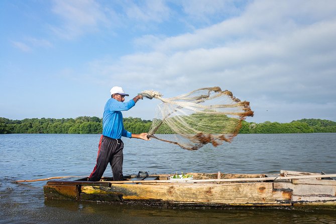 Into the Wild: Canoeing & Birdwatching in La Boquilla’s Untouched - Birdwatching That Feels Like Wildlife, Not a Classroom