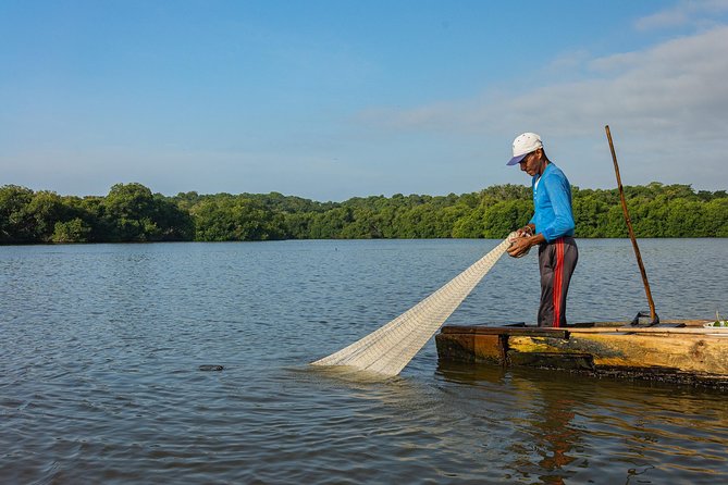 Into the Wild: Canoeing & Birdwatching in La Boquilla’s Untouched - The Local Farm Stop and Why It Adds Meaning