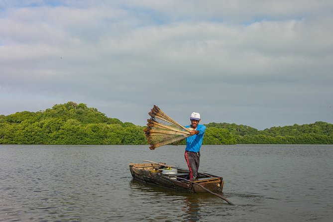 Into the Wild: Canoeing & Birdwatching in La Boquilla’s Untouched - La Boquilla Culture and Traditional Colombian Food Breaks Up the Day