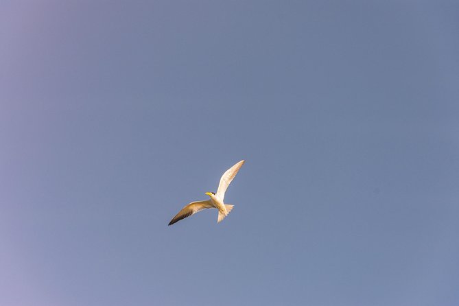 Into the Wild: Canoeing & Birdwatching in La Boquilla’s Untouched - Price and Logistics: Is $130 Worth It for a 4-Hour Private Tour?