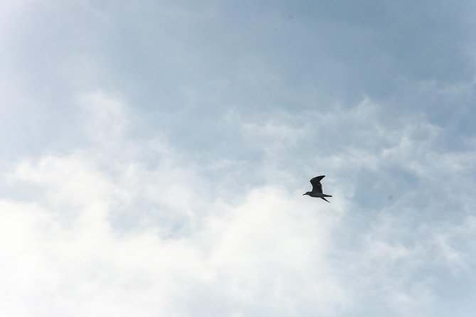 Into the Wild: Canoeing & Birdwatching in La Boquilla’s Untouched - Getting There in Comfort, Without Turning It Into a Whole Project