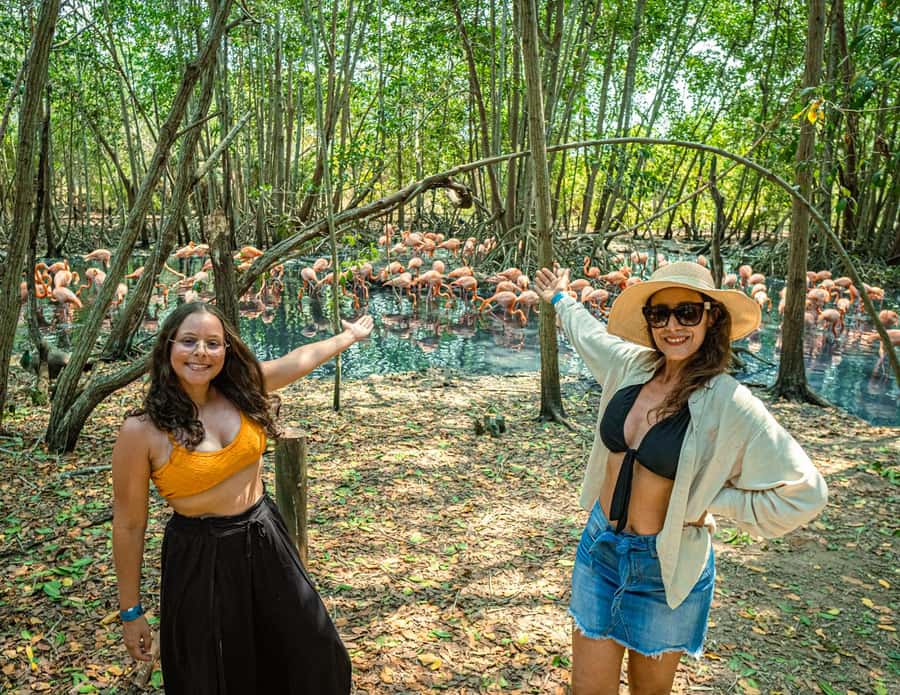 Isla Barú: Beach Club Access and Tour of the National Aviary - Key things to know before you go