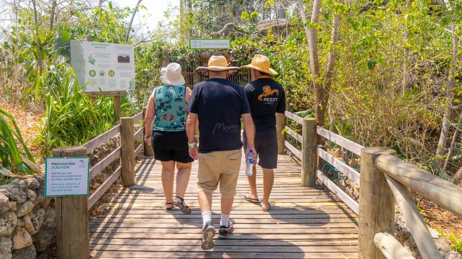 Isla Barú: Beach Club Access and Tour of the National Aviary - What to watch out for: crowds, cooling issues, and slow return timing