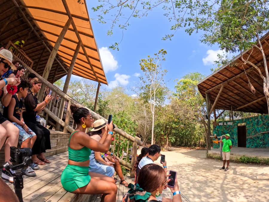 Isla Barú: Beach Club Access and Tour of the National Aviary - Cartagena pickup options and the air-conditioned ride that sets the tone