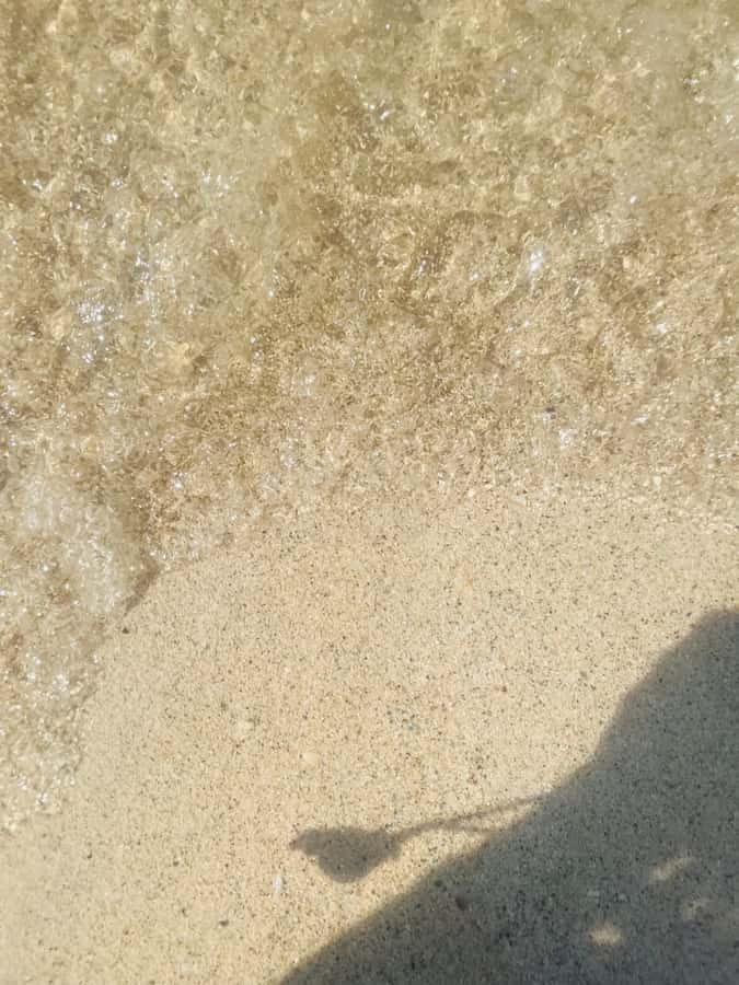 Isla Tierra Bomba beach club: Day Pass with typical food - Key highlights worth planning around