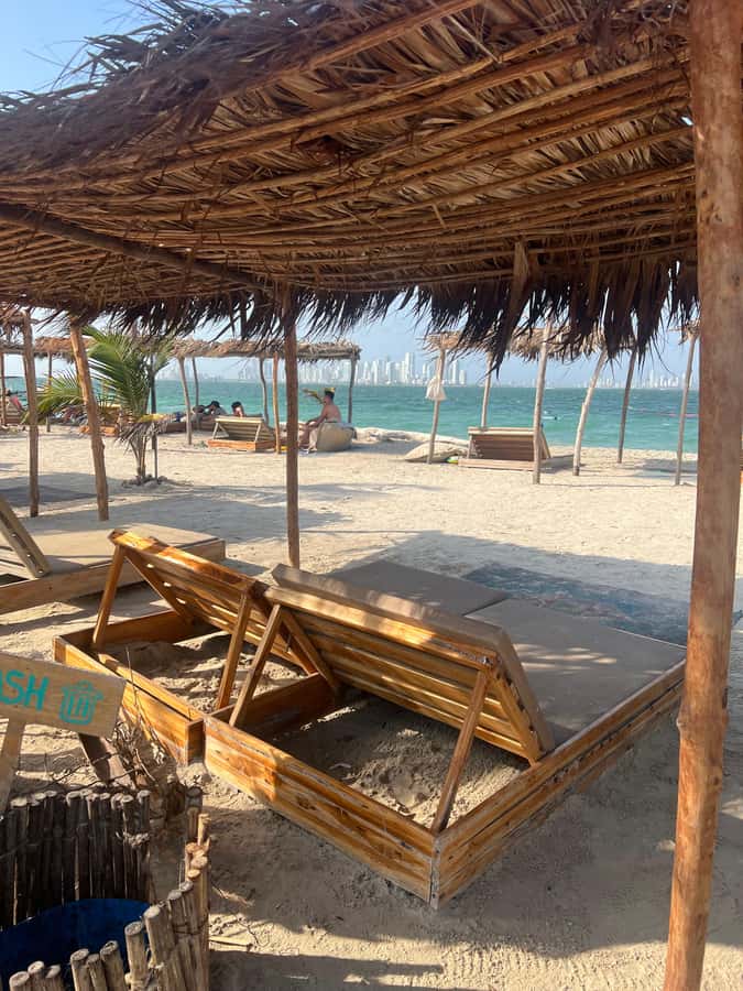 Isla Tierra Bomba beach club: Day Pass with typical food - Fenix Beach Club facilities: pool, volleyball, shade, and beach mats