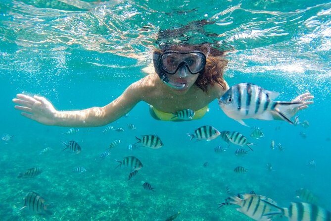 Islas del Rosario plus Bioluminescence Experience - Stop 1 to Stop 3: sunken plane views, Cholon swim, and reef snorkeling