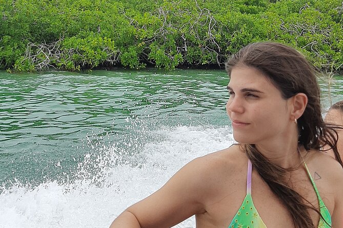 Islas del Rosario plus Bioluminescence Experience - Should you book Islas del Rosario plus Bioluminescence?