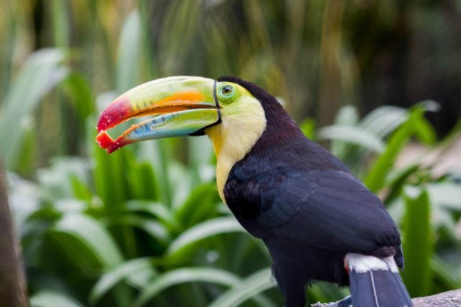 Jaime Duque Park Private Tour from Bogotá. (8 Hrs.) - Price and value: what $259 includes, and why that can be fair