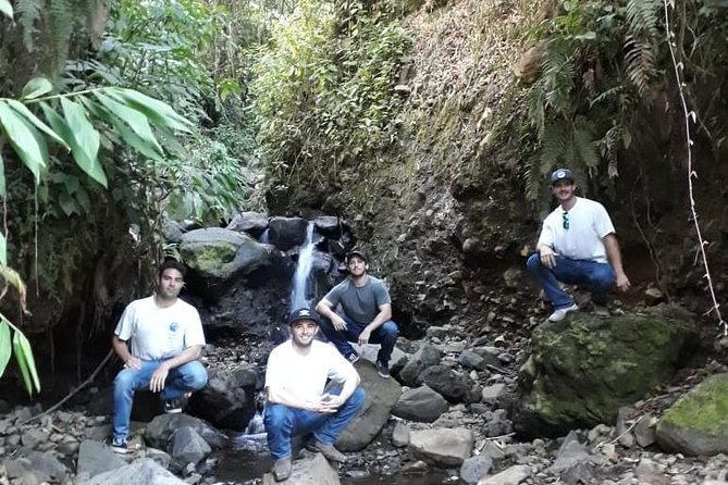 Jardín Coffee Lovers Private Tour with Waterfall Option from Medellín - Optional Waterfall Upgrade: Quick Dip Rules and Packing Tips