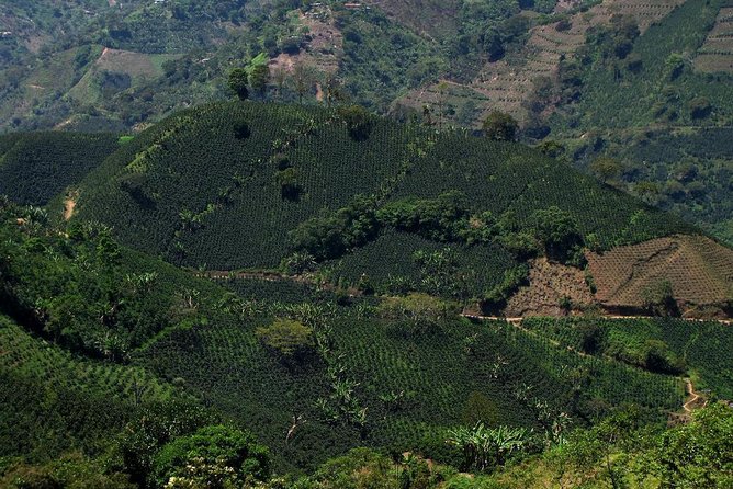 Jardín Coffee Tour out of Medellín - The traditional Colombian lunch that’s actually part of the plan