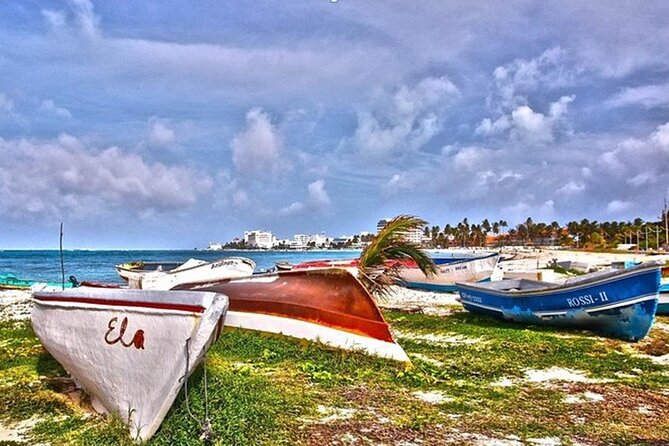 Johnny Cay Tour Haynes Cay Aquarium, Watching and Mangroves - Price and Hidden-But-Expected Costs in San Andrés