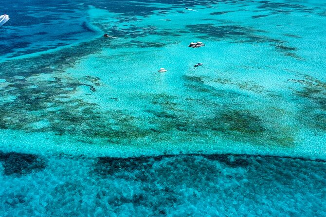 Johnny Kay and Aquarium Natural Full Day semi-private boat - Haynes Cay: palms, photos, and a calmer midday break