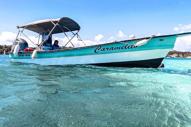 Johnny Kay and Aquarium Natural Full Day semi-private boat - The bay “change of colors” moment you’ll want your camera for