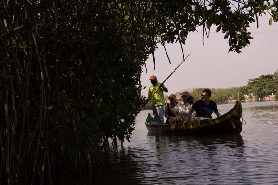 La Boquilla: 3-Hour Canoe Tour through the Mangroves - Why La Boquilla Mangroves Beat Another Cartagena Beach Day