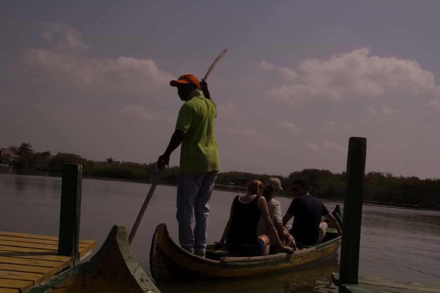 La Boquilla: 3-Hour Canoe Tour through the Mangroves - Wildlife Chances: Herons, Egrets, and Mangrove Life
