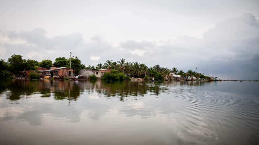 La Boquilla: 3-Hour Canoe Tour through the Mangroves - Afro-Colombian Culture and Community-Led Conservation