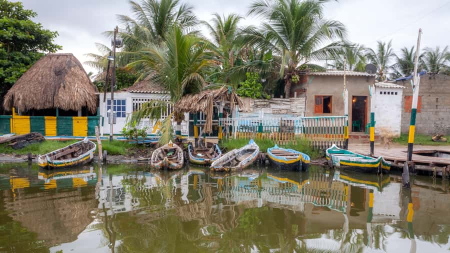 La Boquilla: 3-Hour Canoe Tour through the Mangroves - The 3-Hour Rhythm, and How Much Time You Spend Canoeing