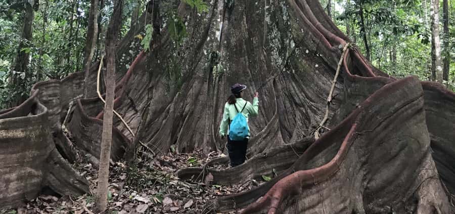 Leticia: Amazing Three Day Jungle Tours - Why This 3-Day Amazon Loop Feels Worth It