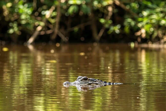 Leticia Safari 2 Days and 1 Night of Jungle and River in Floating House - Floating house stay: comfort basics and expectations
