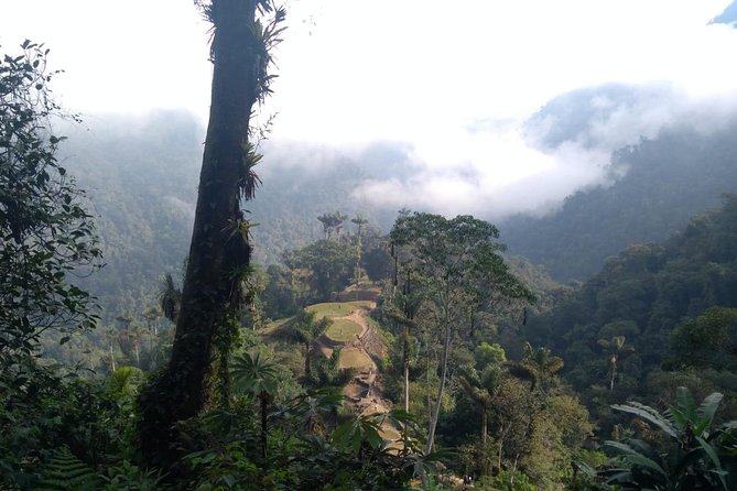 Lost City Trek 4 days - 3 nights - Why the Lost City Trek feels different in Santa Marta