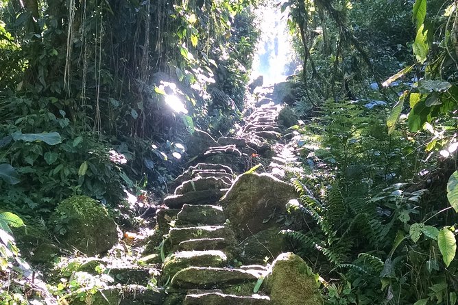Lost City Trek 4 days - 3 nights - Day 1: 3-hour 4WD drive, then the long walk toward Camp 1
