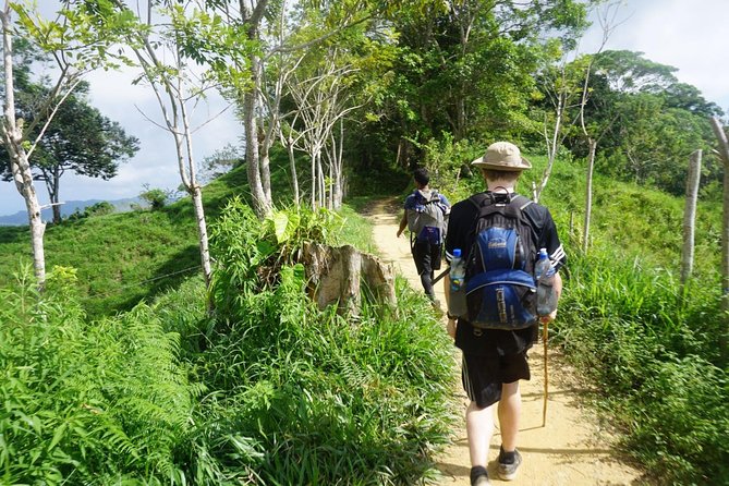 Lost City Trek 4 days - 3 nights - Day 4: the early hike back to Camp 1 and the van ride home