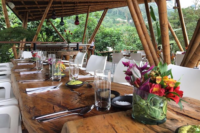 Luxury Coffee Plantation Private Tour (9 Hrs.) - Why This Bogotá Coffee Day Feels Worth the Splurge
