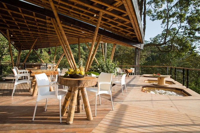 Luxury Coffee Plantation Private Tour (9 Hrs.) - La Palma y El Tucan Hotel Visit, Where Coffee Becomes a Full Lesson