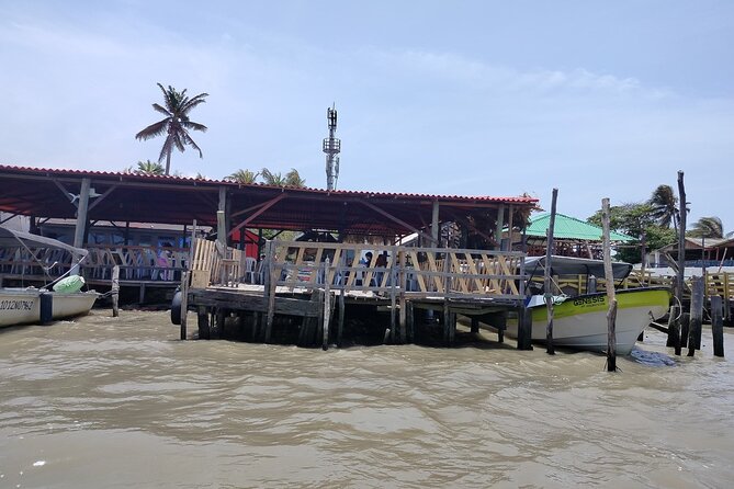 Magdalena River and Bocas de Cenizas Tour - Starting in Barranquilla, then heading to the Las Flores dock