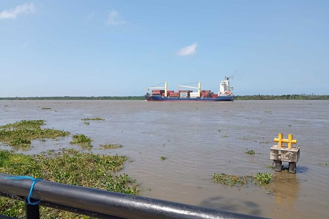 Magdalena River and Bocas de Cenizas Tour - The short walk, the statue viewpoint, and photo time at the mouth