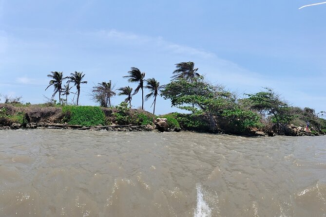 Magdalena River and Bocas de Cenizas Tour - Price and value: is $105 for a 5-hour day fair?