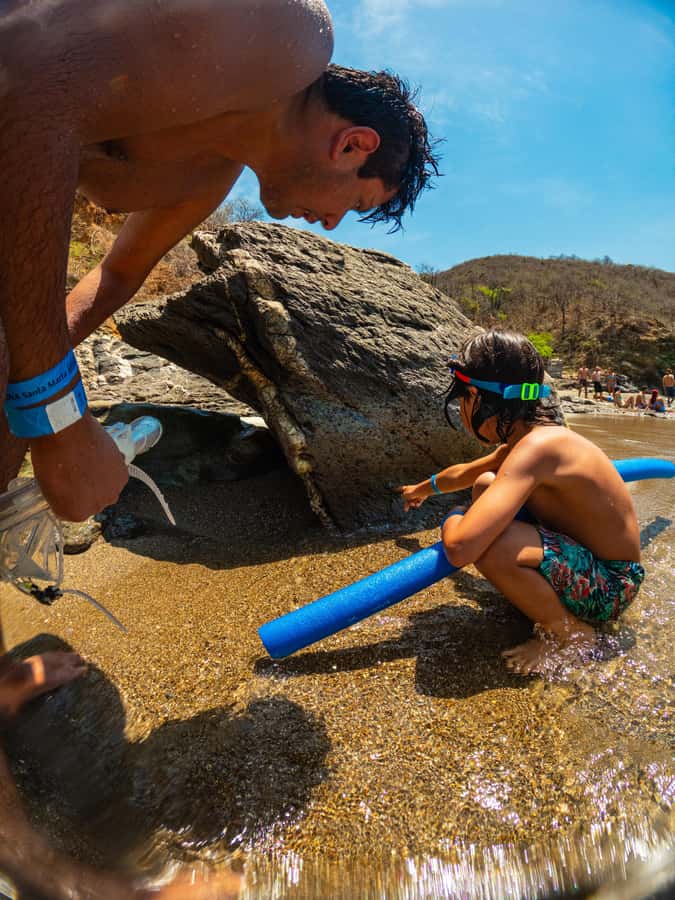 Magdalena: Tayrona Park Cruise with Snorkeling & Beaches - Santa Marta Marina Start, Tranquila Boarding, and a Clean Schedule