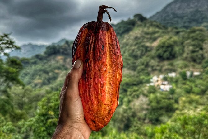 Magic Minca : Waterfalls, Cocoa Workshop and Coffee From Santa Marta - Key highlights you should know before you go
