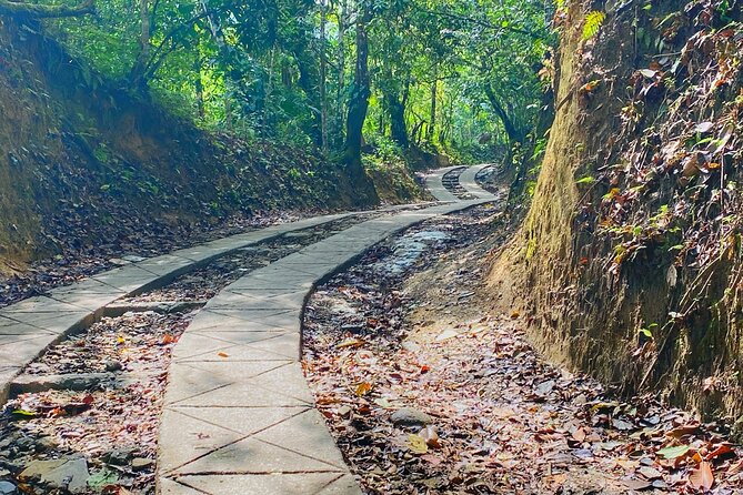Magic Minca : Waterfalls, Cocoa Workshop and Coffee From Santa Marta - Pozo Cristal and Arimaka: waterfall time and that natural-pool reset