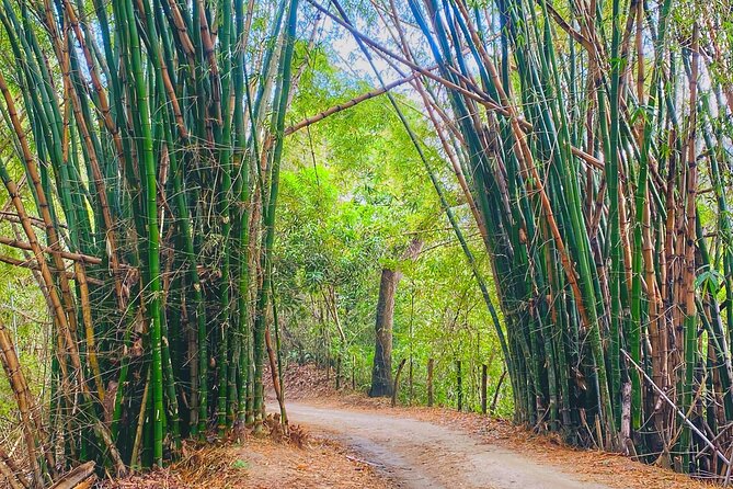 Magic Minca : Waterfalls, Cocoa Workshop and Coffee From Santa Marta - Viewpoints, ice cream, and small perks that round out the day