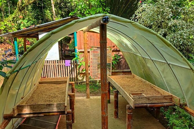 Magic Minca : Waterfalls, Cocoa Workshop and Coffee From Santa Marta - Exploring Minca the right way: hiking, rivers, and Sierra Nevada views