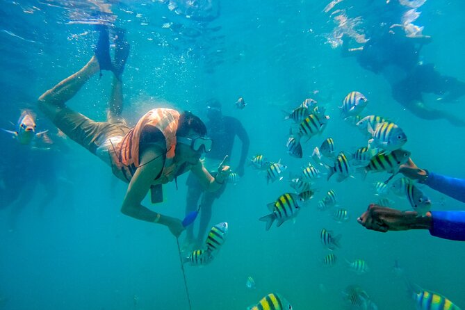 Magical Full-Day Tour Through The Mangroves And The Beach In Isla de Barú - Isla de Barú in one day: mangroves, snorkeling, and beach breaks