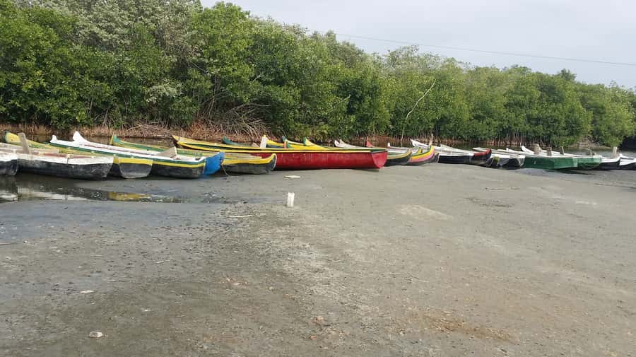 Mangroves, cultural fishing, black heritage town and lunch - What your guide experience can feel like (English, Spanish, and pacing)