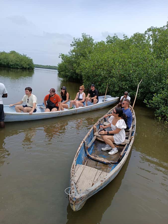 Mangroves, cultural fishing, black heritage town and lunch - Price and value: is $49 for 3 hours a good deal?