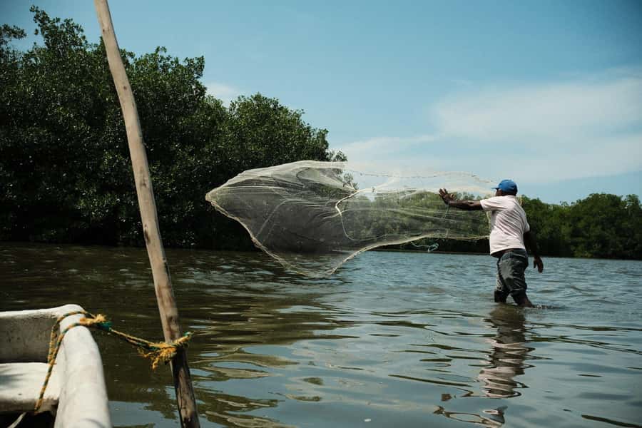 Mangroves, cultural fishing, black heritage town and lunch - Getting there from Favipan Crespo: what the “short day” really means