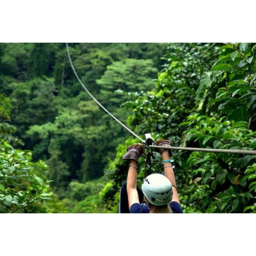 Medellin: 4-Hour Zip-Line Adventure - The 4-Hour Timing: How the Day Feels From Pickup to Return
