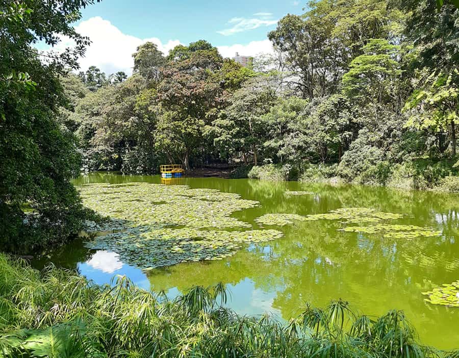 Medellín: Botanical Garden and Arvi Park City Tour - Who Should Book This Medellín Botanical Garden and Arví Park Tour?