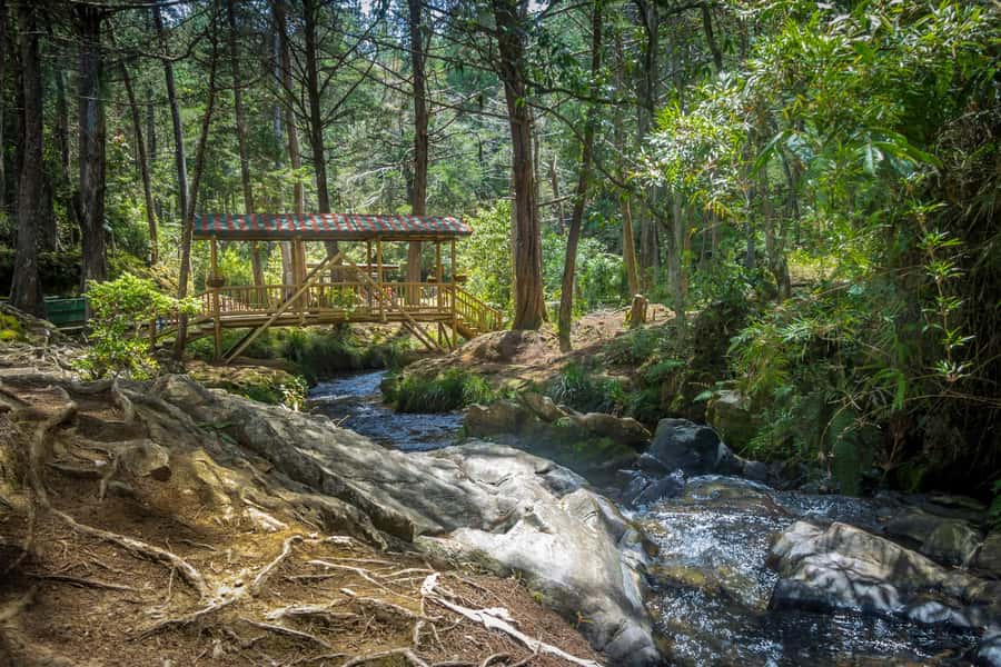 Medellín: Botanical Garden and Arvi Park City Tour - Hotel Pick-Up, Private Group, and the Real Pace of 5 Hours