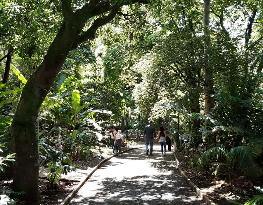 Medellín: Botanical Garden and Arvi Park City Tour - Metrocable Ride: Views You Can Only Get From the Heights