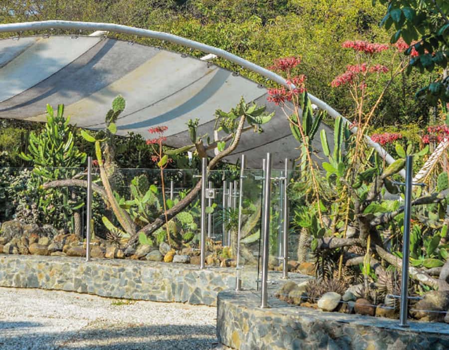 Medellín: Botanical Garden and Arvi Park City Tour - Price and Value: What $85 Includes (and Why It Can Be a Good Deal)