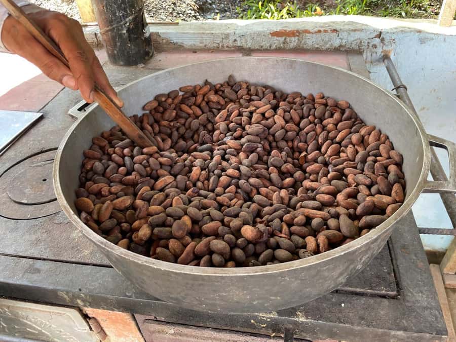 Medellín: Chocolate Tour & Exfoliation in beautiful river - Key highlights worth your attention