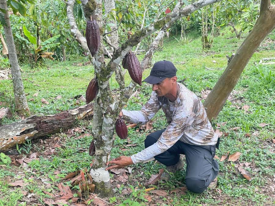 Medellín: Chocolate Tour & Exfoliation in beautiful river - The family-run cacao farm: from cacao tree to your chocolate bar